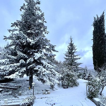 Vimignano-Chiesa Mazzetti Country House-Vita In Campagna Con Giardino מראה חיצוני תמונה