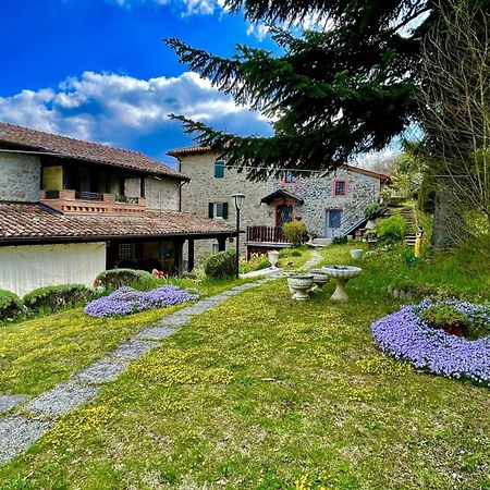 Vimignano-Chiesa Mazzetti Country House-Vita In Campagna Con Giardino מראה חיצוני תמונה