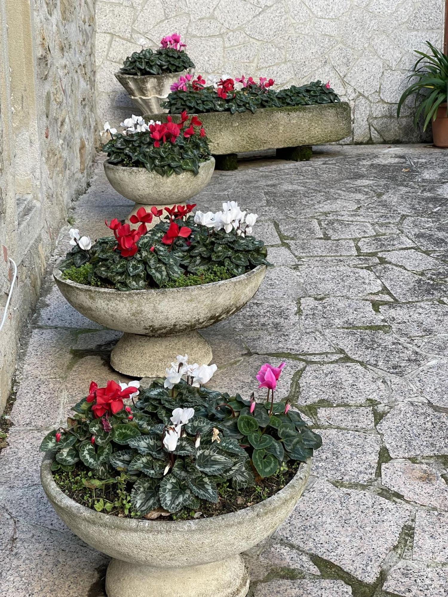 Vimignano-Chiesa Mazzetti Country House-Vita In Campagna Con Giardino מראה חיצוני תמונה