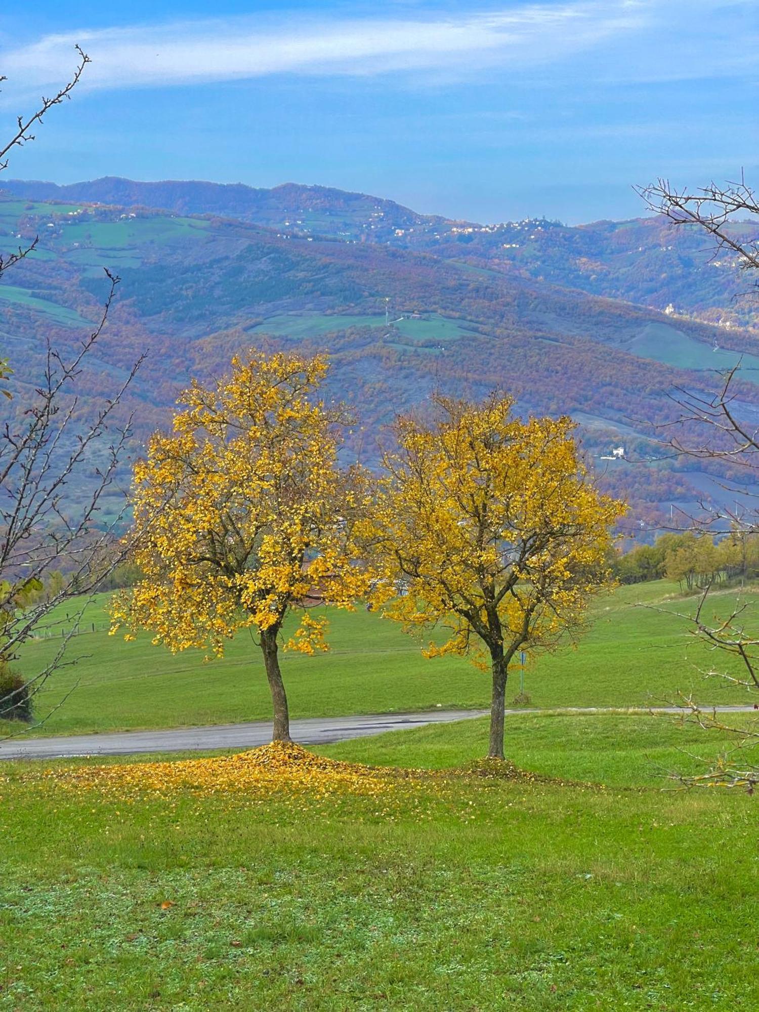 Vimignano-Chiesa Mazzetti Country House-Vita In Campagna Con Giardino מראה חיצוני תמונה