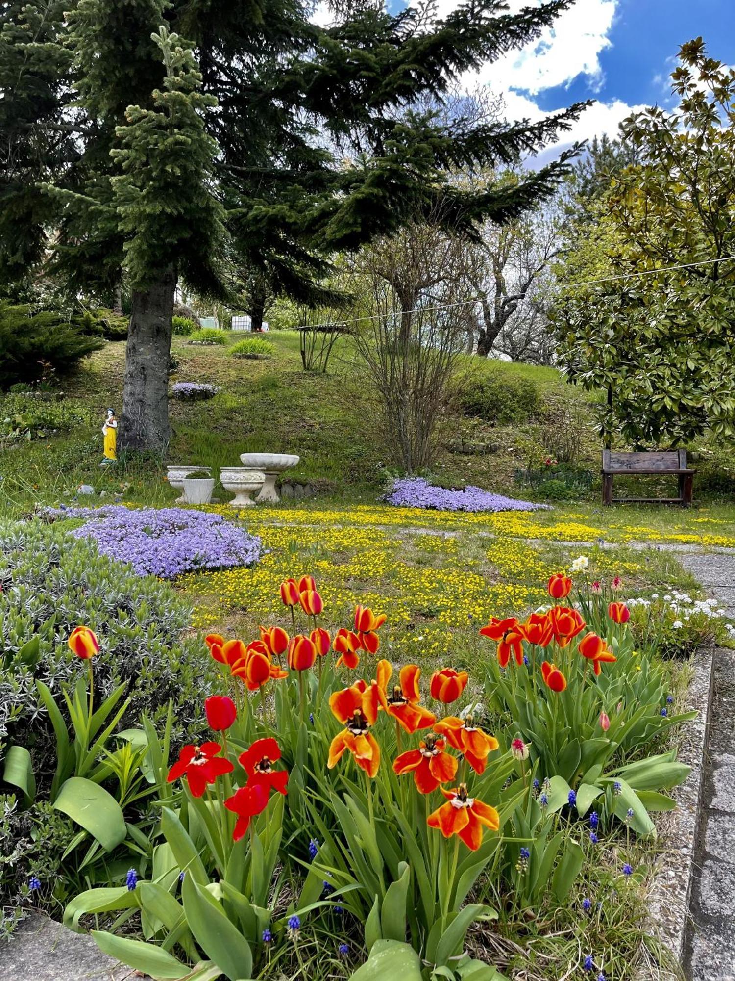 Vimignano-Chiesa Mazzetti Country House-Vita In Campagna Con Giardino מראה חיצוני תמונה