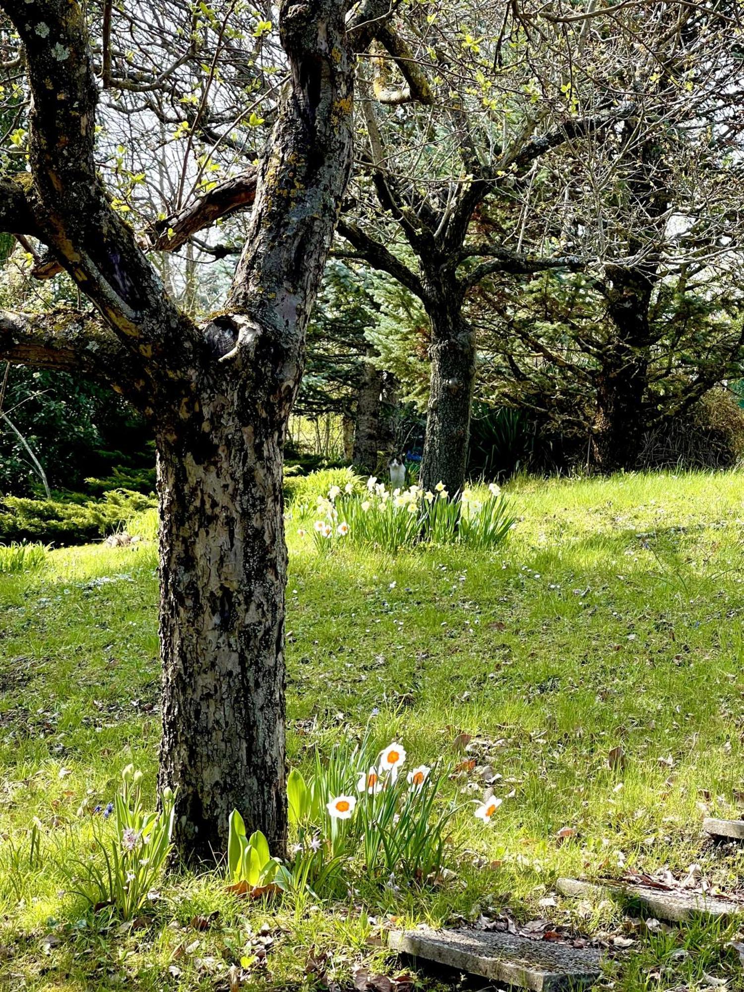 Vimignano-Chiesa Mazzetti Country House-Vita In Campagna Con Giardino מראה חיצוני תמונה