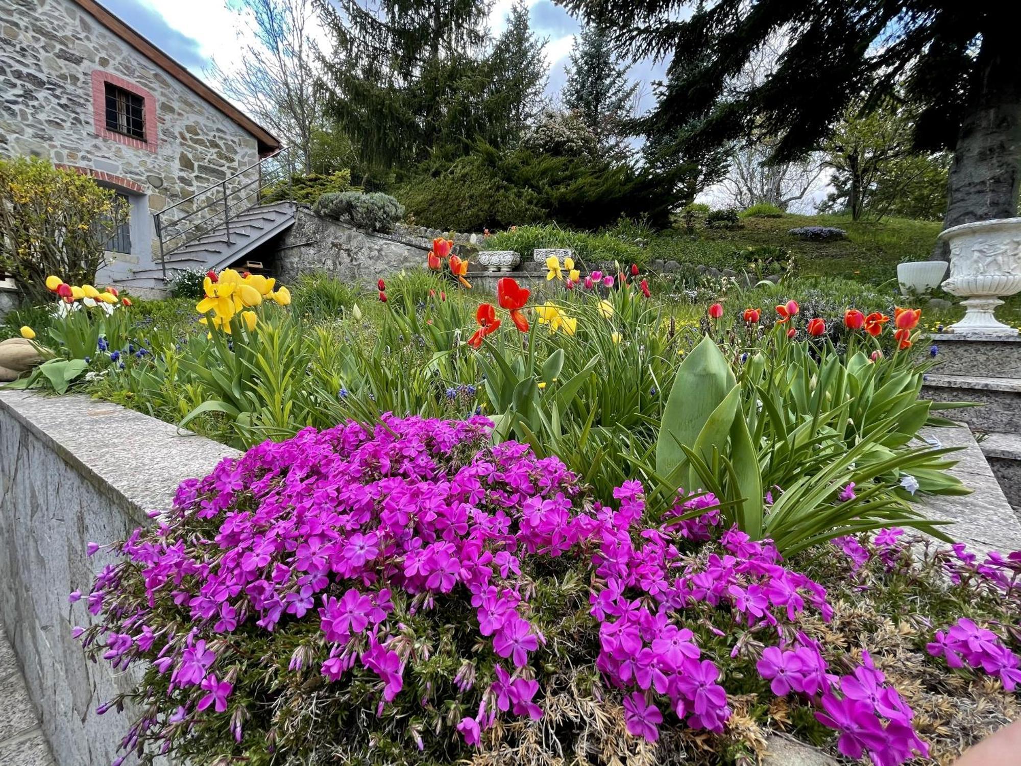 Vimignano-Chiesa Mazzetti Country House-Vita In Campagna Con Giardino מראה חיצוני תמונה