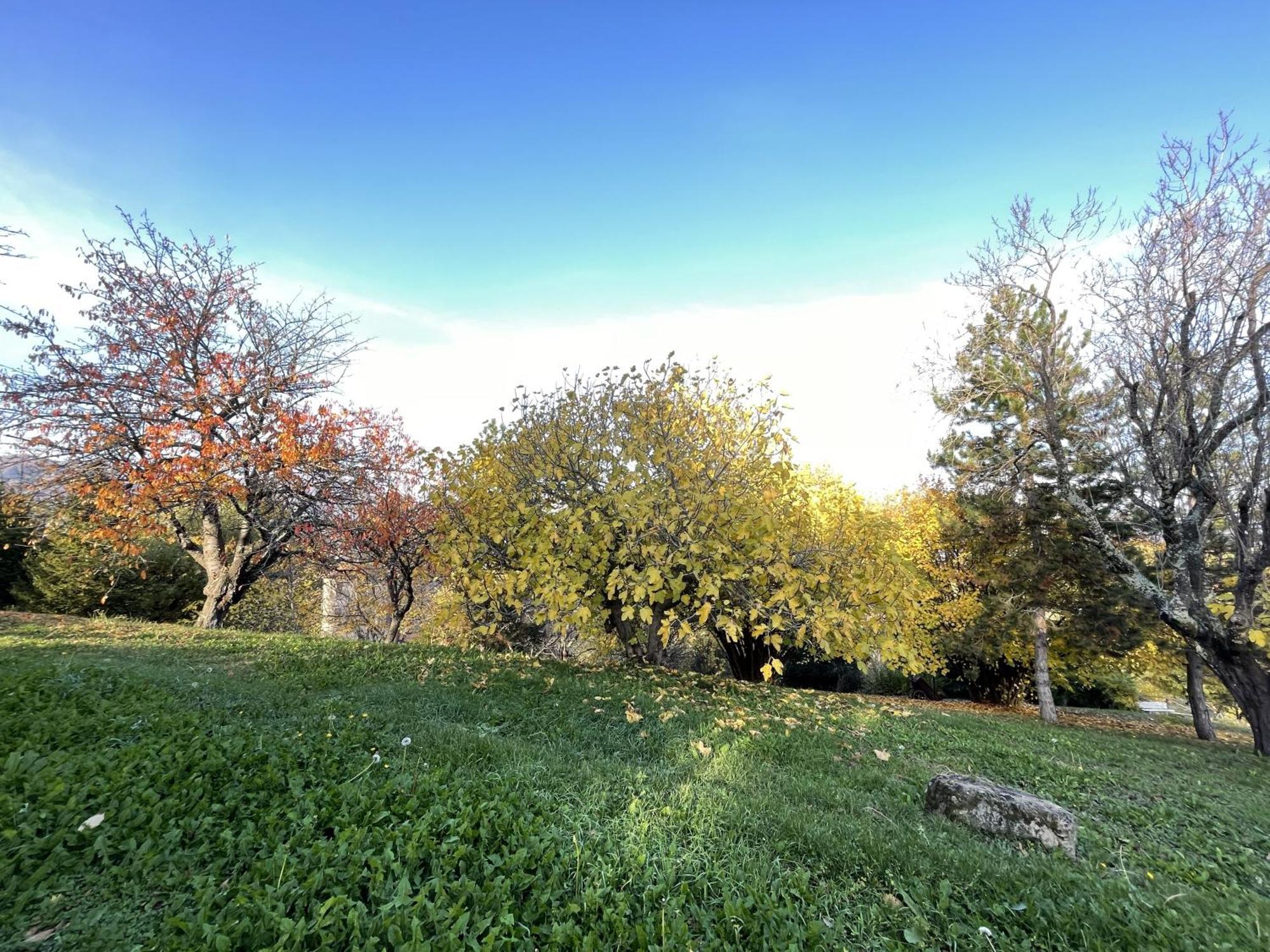 Vimignano-Chiesa Mazzetti Country House-Vita In Campagna Con Giardino מראה חיצוני תמונה