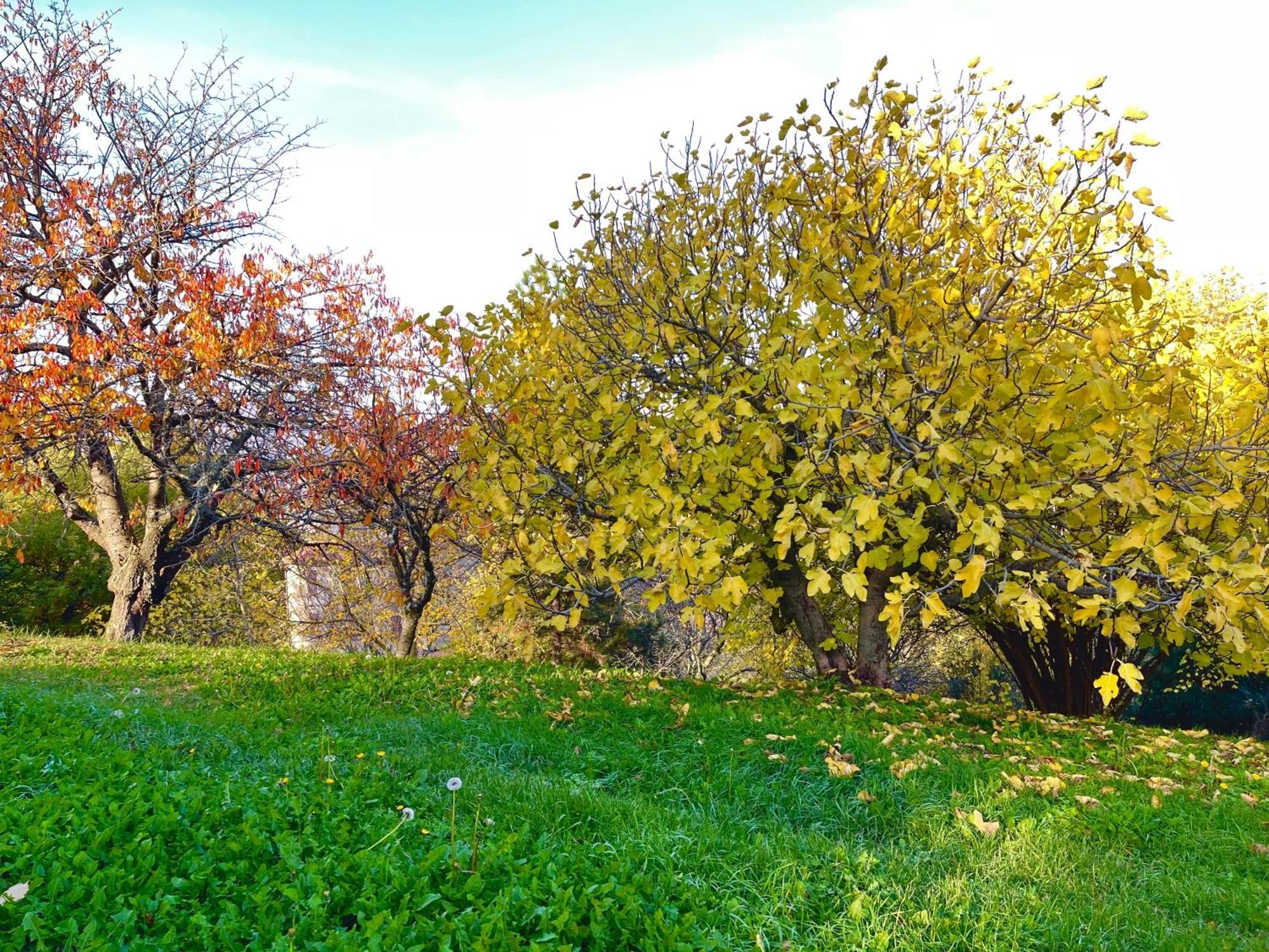 Vimignano-Chiesa Mazzetti Country House-Vita In Campagna Con Giardino מראה חיצוני תמונה
