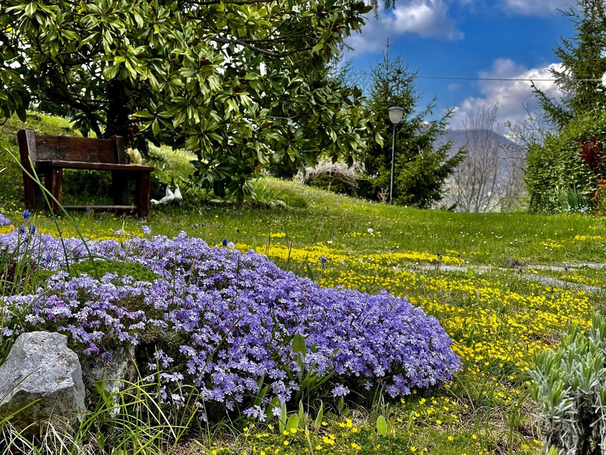 Vimignano-Chiesa Mazzetti Country House-Vita In Campagna Con Giardino מראה חיצוני תמונה