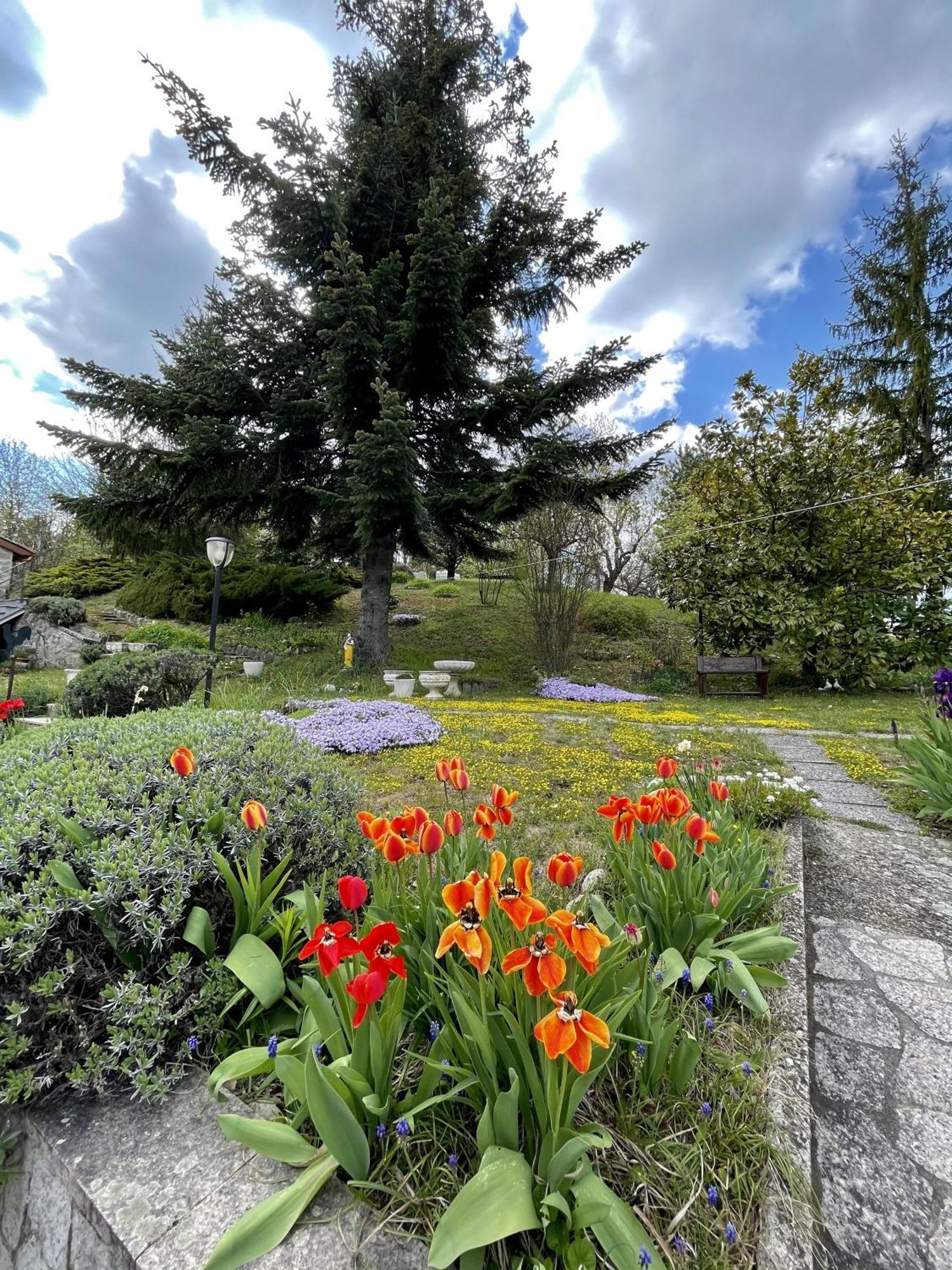 Vimignano-Chiesa Mazzetti Country House-Vita In Campagna Con Giardino מראה חיצוני תמונה